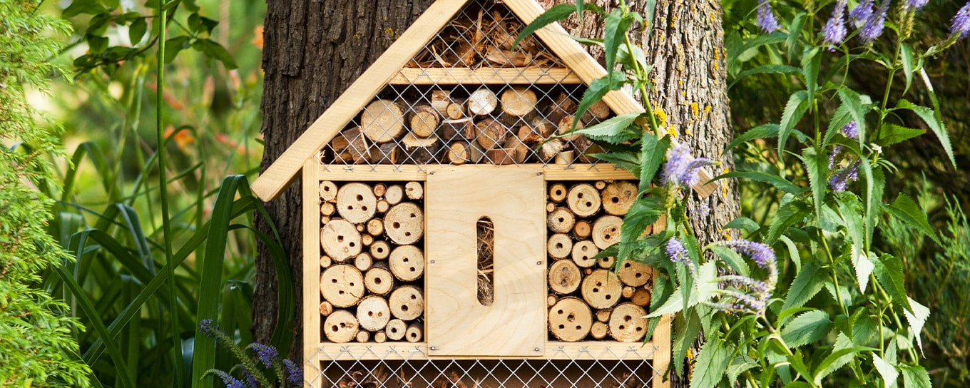 Bienenschutz eine Aufgabe, die uns alle angeht