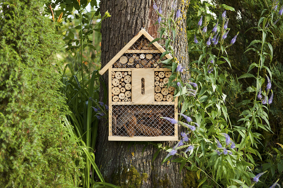 Bienenschutz eine Aufgabe, die uns alle angeht