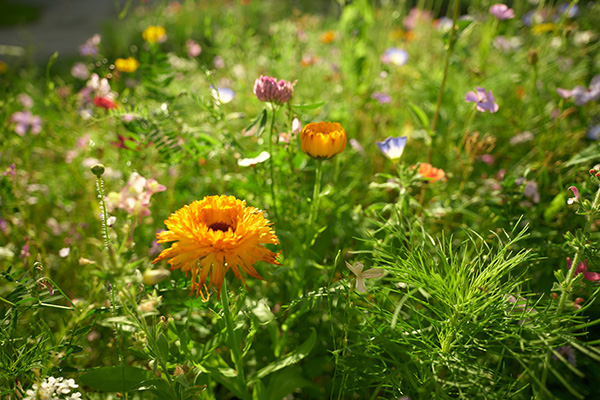 Unsere Werte und Visionen