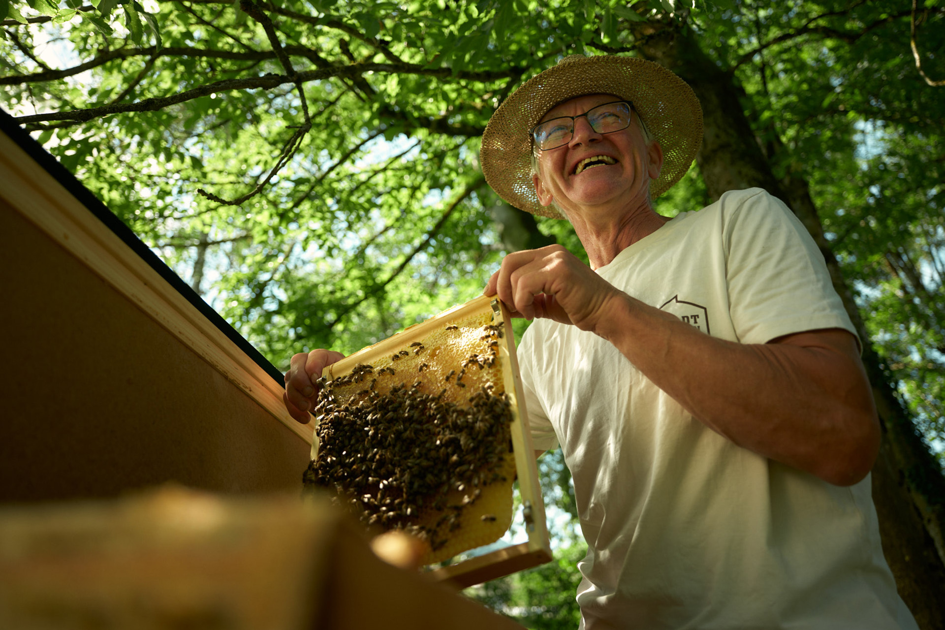 Unsere Bad Heilbrunner® Unternehmensbienen Unsere Bad Heilbrunner® Unternehmensbienen