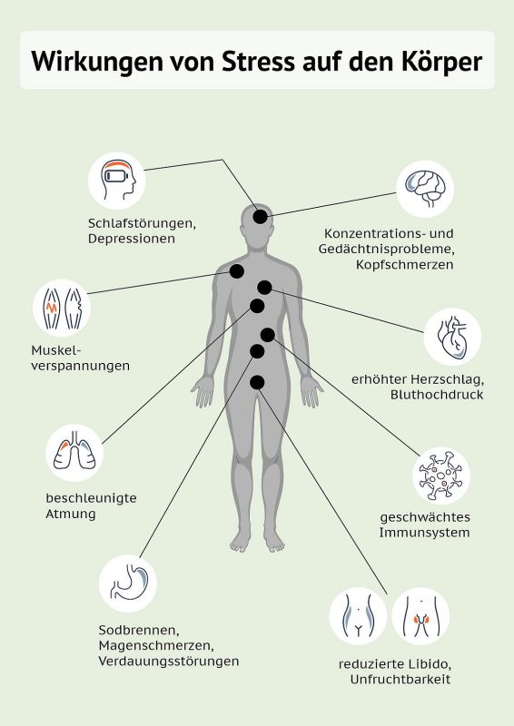 stress-im-alltag-symptome-stressbew-ltigung-im-alltag-iahpb